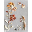 thumbnail Collage with Shells 11